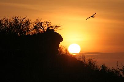 ガラパゴスの夕日